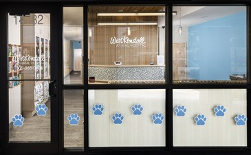West Kendall Animal Hospital