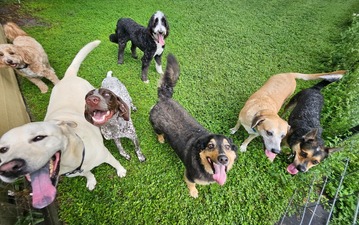 Oasis Pet Resort Inc