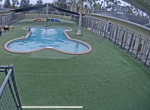 Pet Paradise St. Augustine