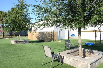 Everything is Pawsible