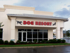 The Dog Resort